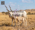 Addax — Realistic Wildlife Portrait, V1