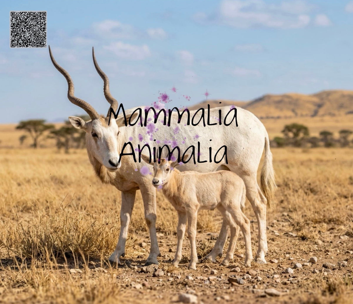 Addax — Realistic Wildlife Portrait, V1