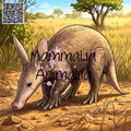 An illustrated aardvark standing in a dry grassy landscape with trees, overlaid with the text 'Mammalia Animal' and a QR code in the top-left corner.