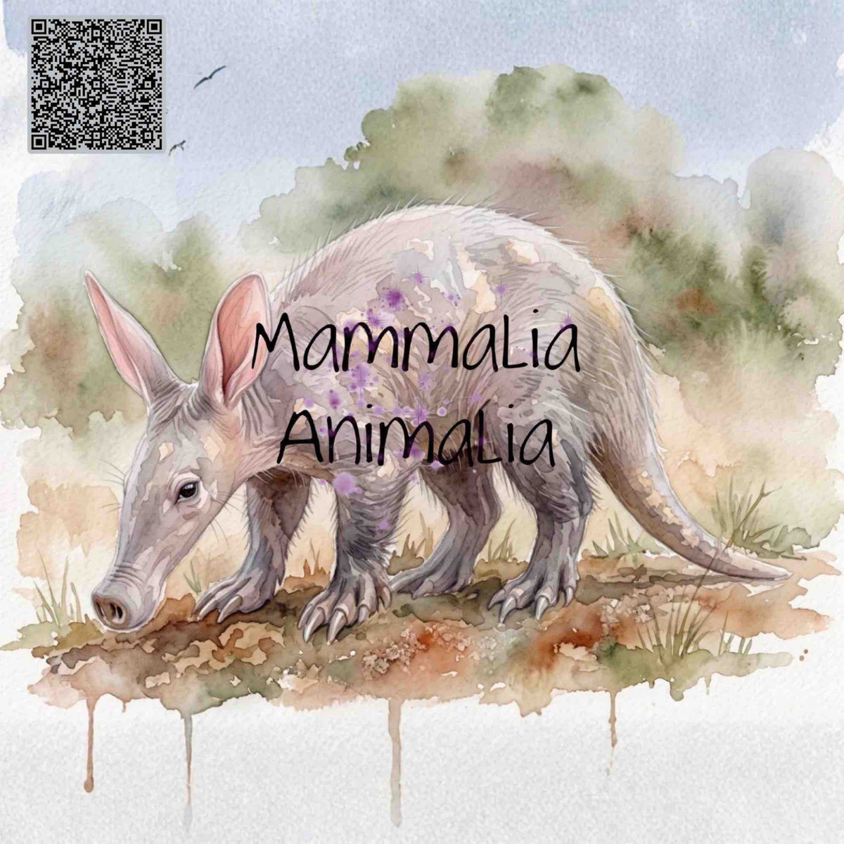 Watercolor-style illustration of an aardvark on a painted ground with soft green and beige foliage in the background. The words 'MammaLia Animalia' are overlaid across the animal, and a QR code appears in the upper left corner.