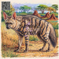 Aardwolf in Detail – Scientific Wildlife Illustration