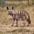 Aardwolf in the Wild – Realistic Wildlife Portrait